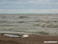 foto de kitesurf
