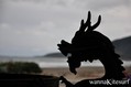 foto de kitesurf