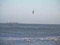 foto de kitesurf
